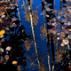 Illustration for article titled Shooting Challenge Fall Leaves Gallery 6